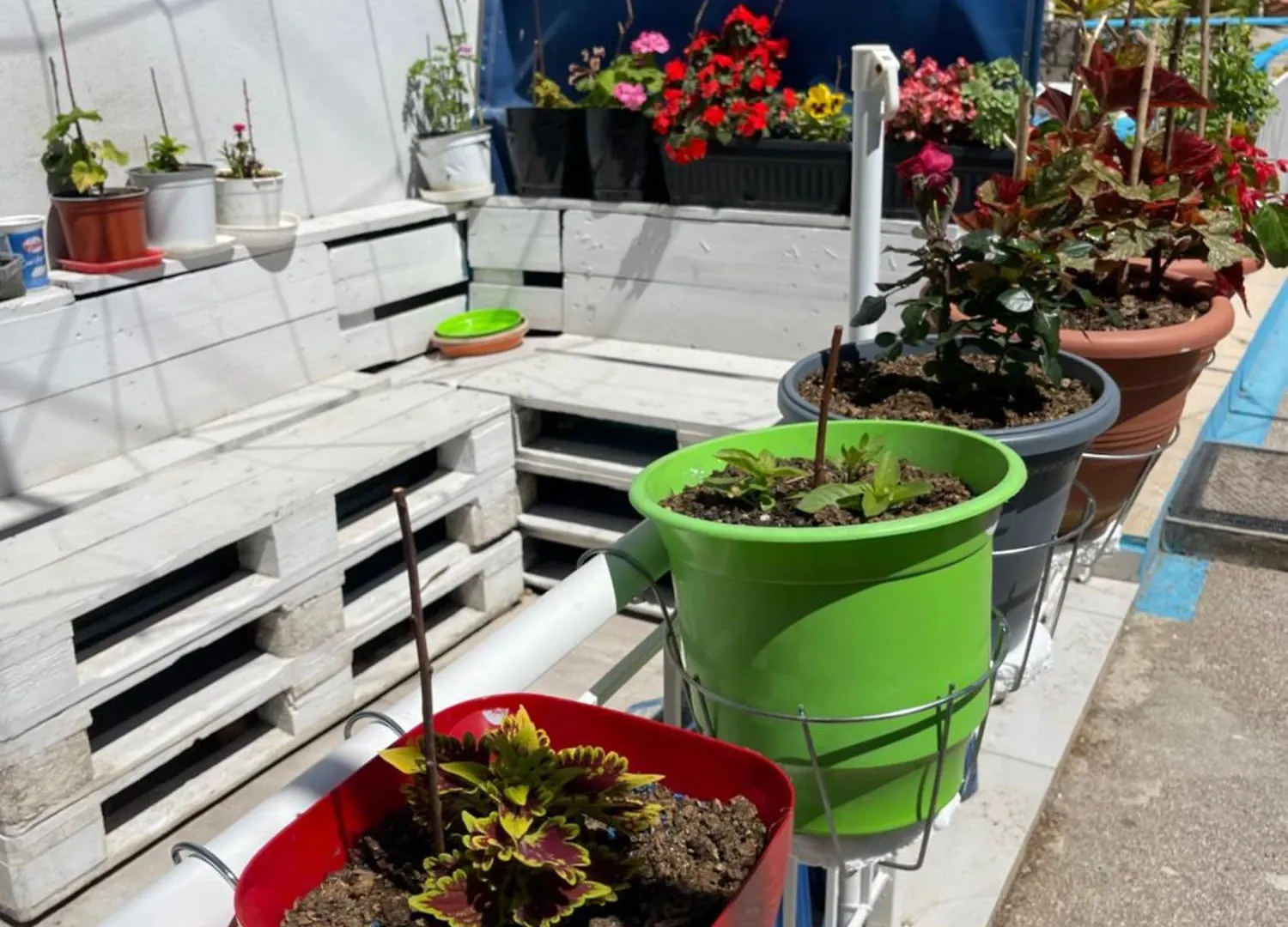 Dauti Apartments ساراندا ألبانيا